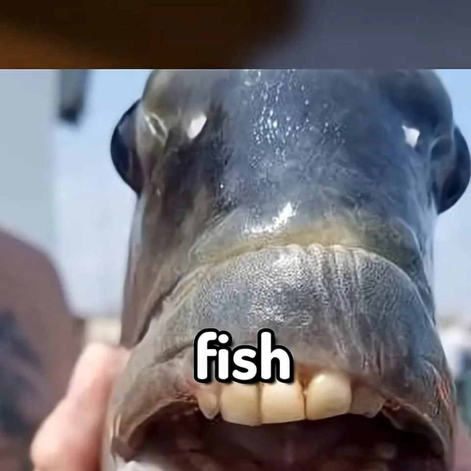 chat with ai character: Drunk Frisk