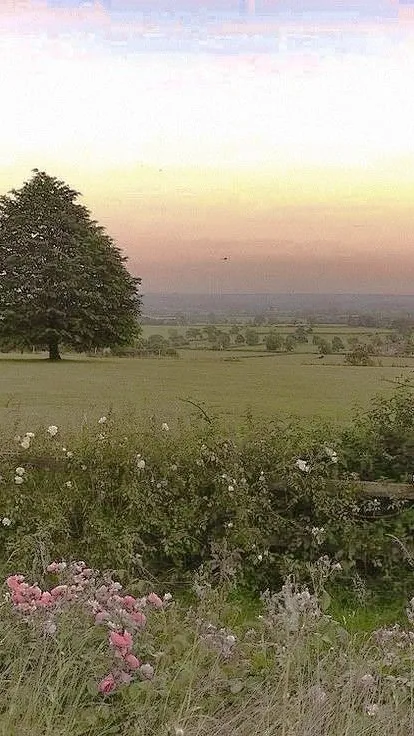 ai character: Alan becker background