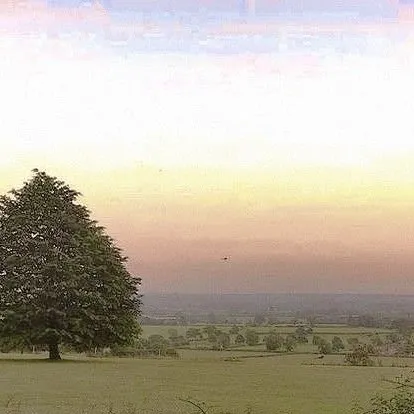 chat with ai character: Alan becker