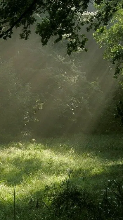 ai character: SolarBalls  background