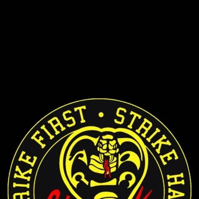 chat with ai character: Cobra Kai