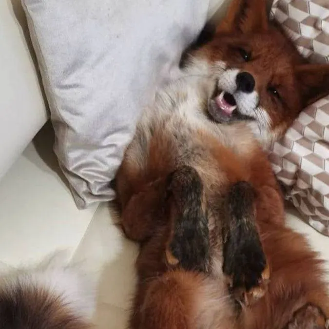 chat with ai character: Vic