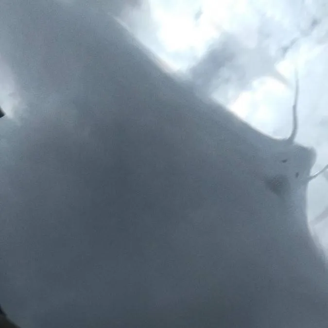 chat with ai character: Sky Mantas