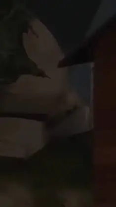 ai character: Yuta background