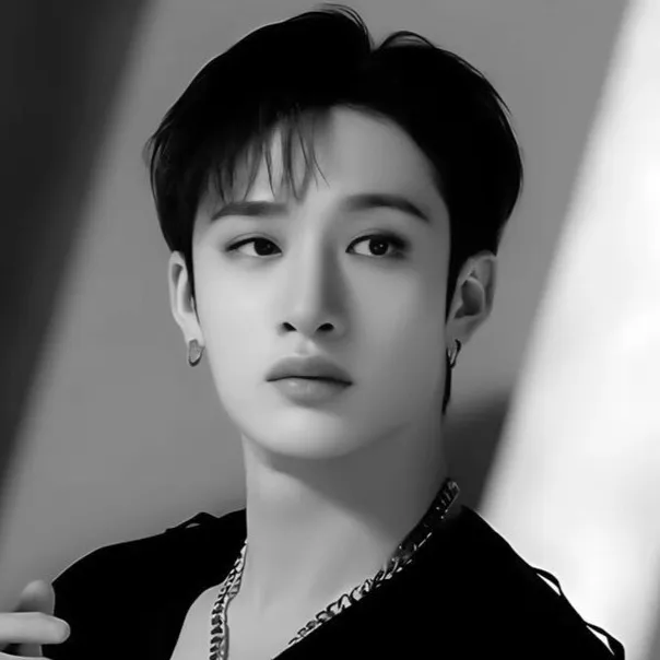 chat with ai character: ~Bang Chan~