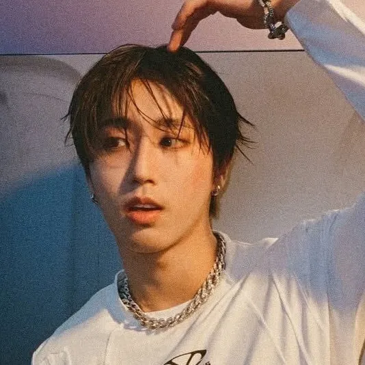 chat with ai character: ~Skz-Han~