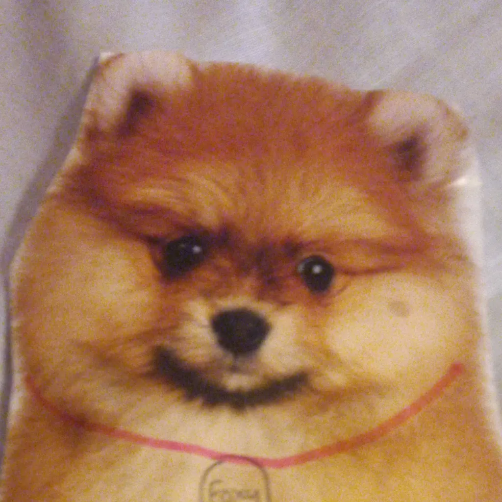 chat with ai character: Foxy