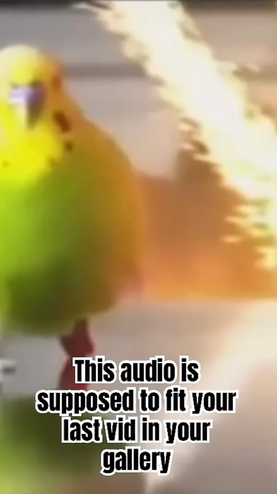 ai character: Yandere mafioso  background