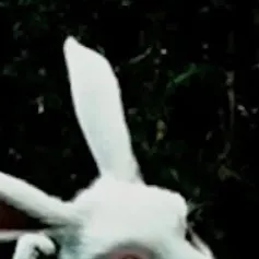 chat with ai character: Yandere forsaken