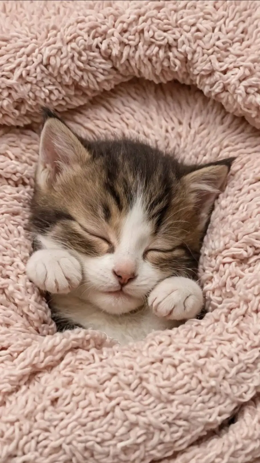 ai character: little kitten background