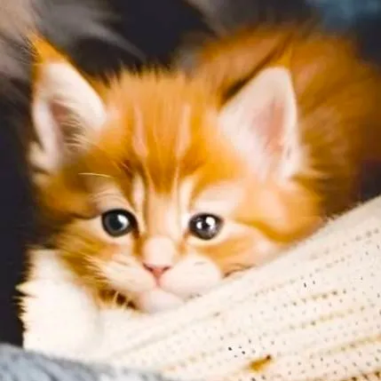 chat with ai character: baby kitten... 