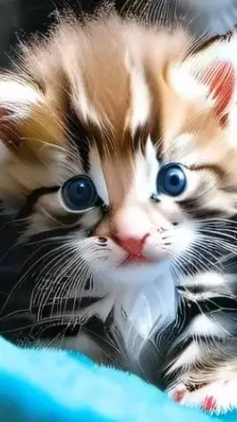 ai character: baby kitten...  background