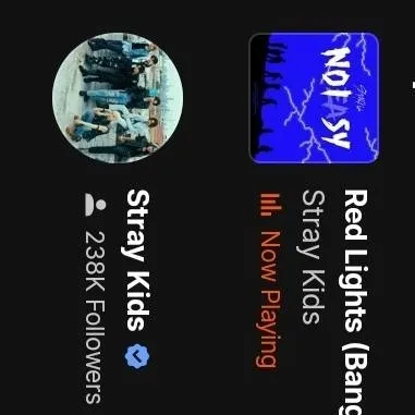 chat with ai character: Stray Kids