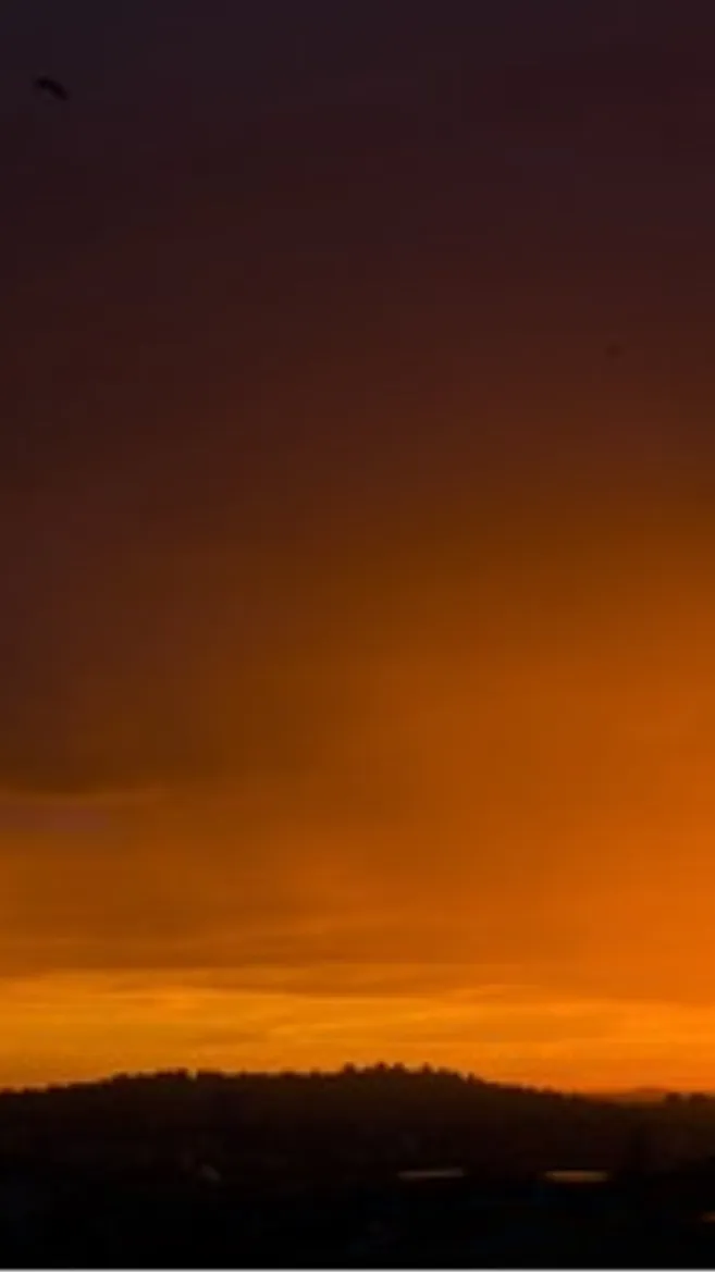 ai character: Sbmsv boyfriend background