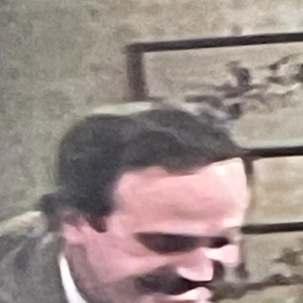 chat with ai character: Basil faulty