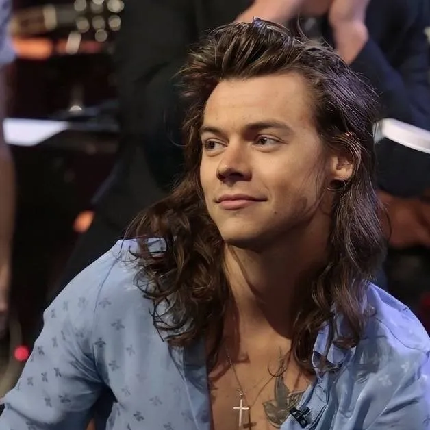 chat with ai character: Harry Styles | V3