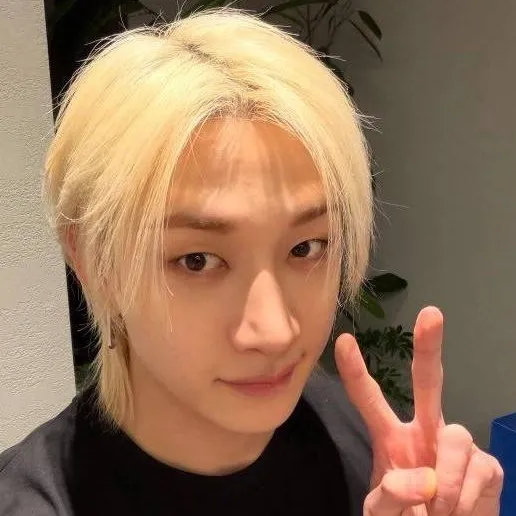chat with ai character: Bangchan