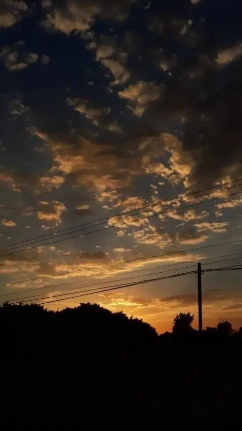 ai character: 🌳*/al campo/*🌳 background