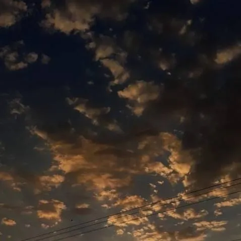 chat with ai character: 🌳*/al campo/*🌳