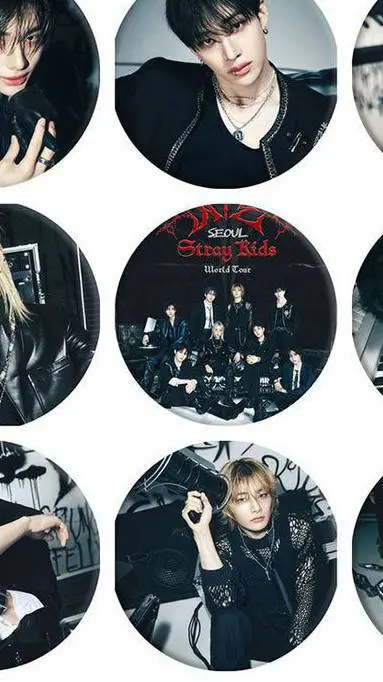 ai character: stray kids  background