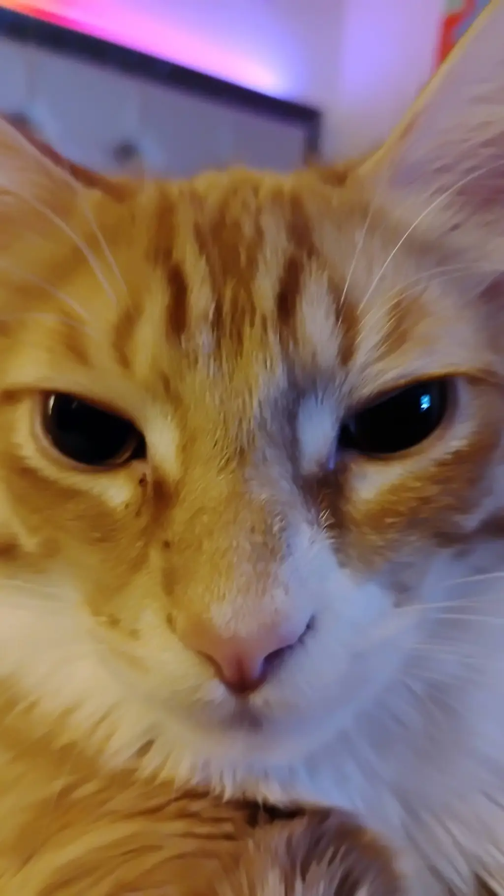 ai character: Garfield  background