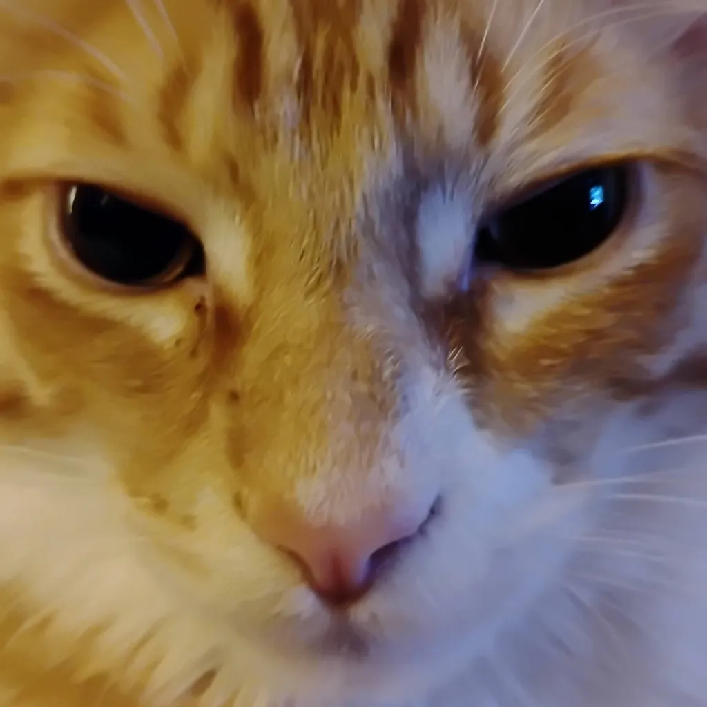 chat with ai character: Garfield 