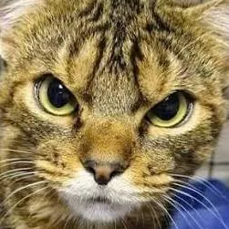 chat with ai character: Larry