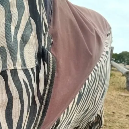 chat with ai character: Chiron (PJO)