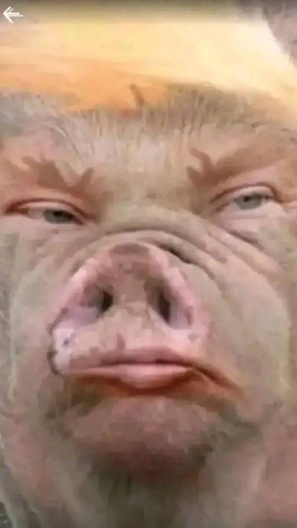 ai character: trump background