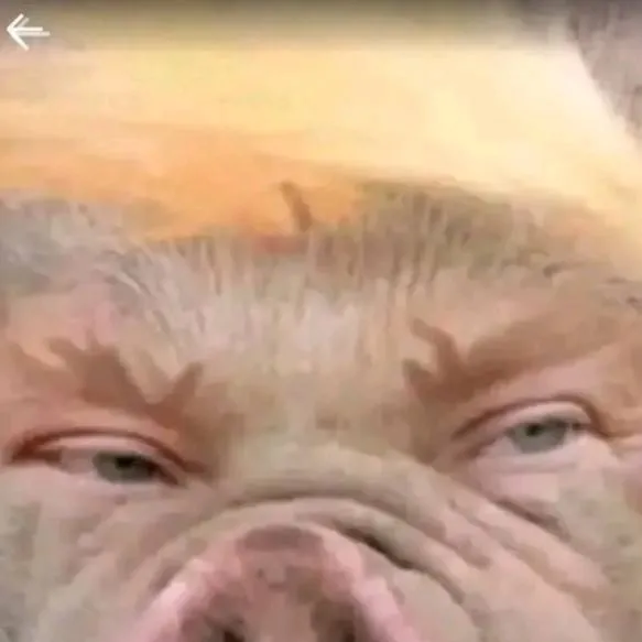 chat with ai character: trump