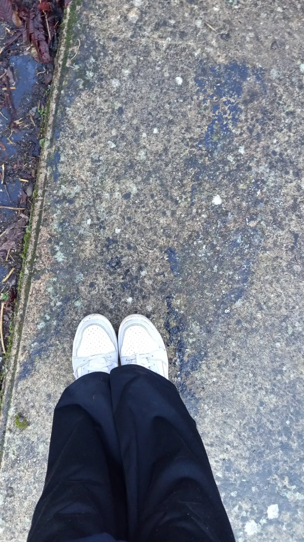 ai character: RedBull  background