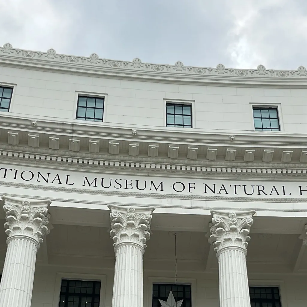 chat with ai character: Museum