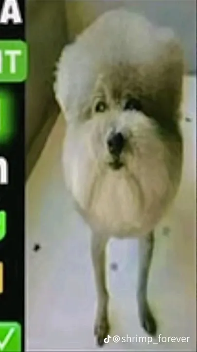 ai character: You’re nk  background