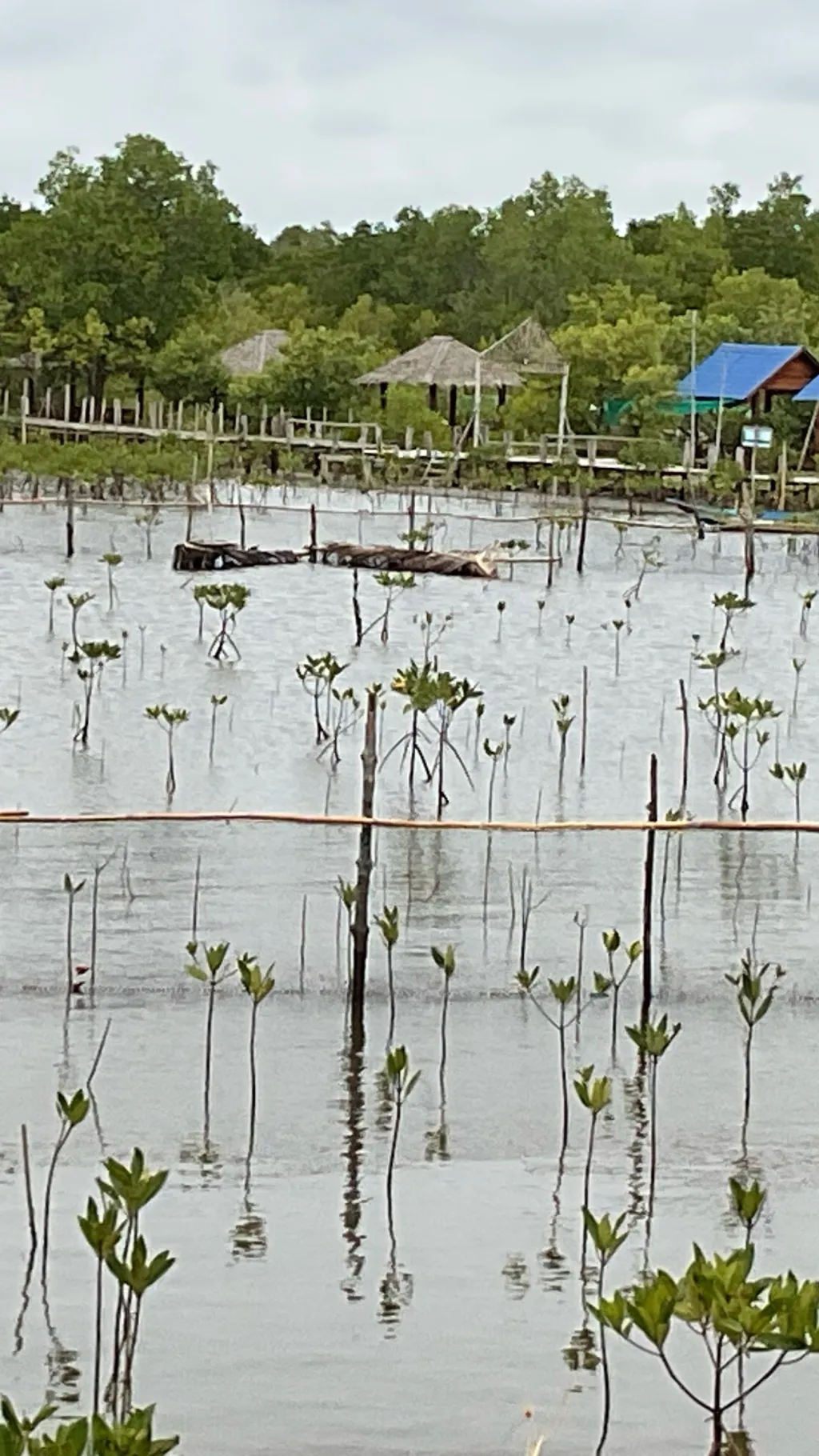 ai character: I dont know background