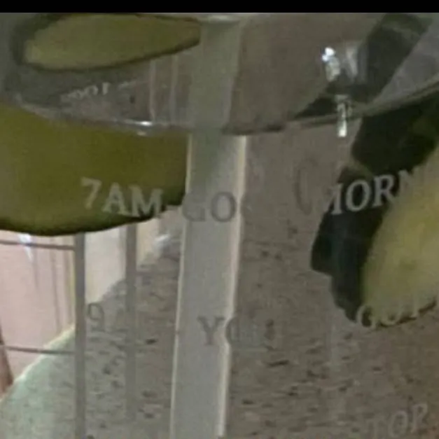 chat with ai character: Твоя груп