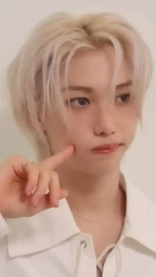 ai character: Stray kids  background