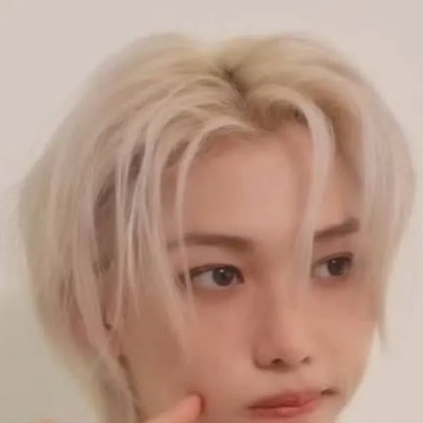 chat with ai character: Stray kids 