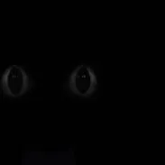chat with ai character: Seplophobia