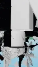 ai character: Female Whilack background