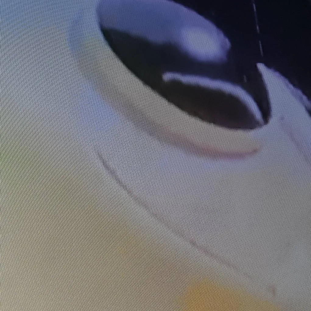 chat with ai character: yarnaby 