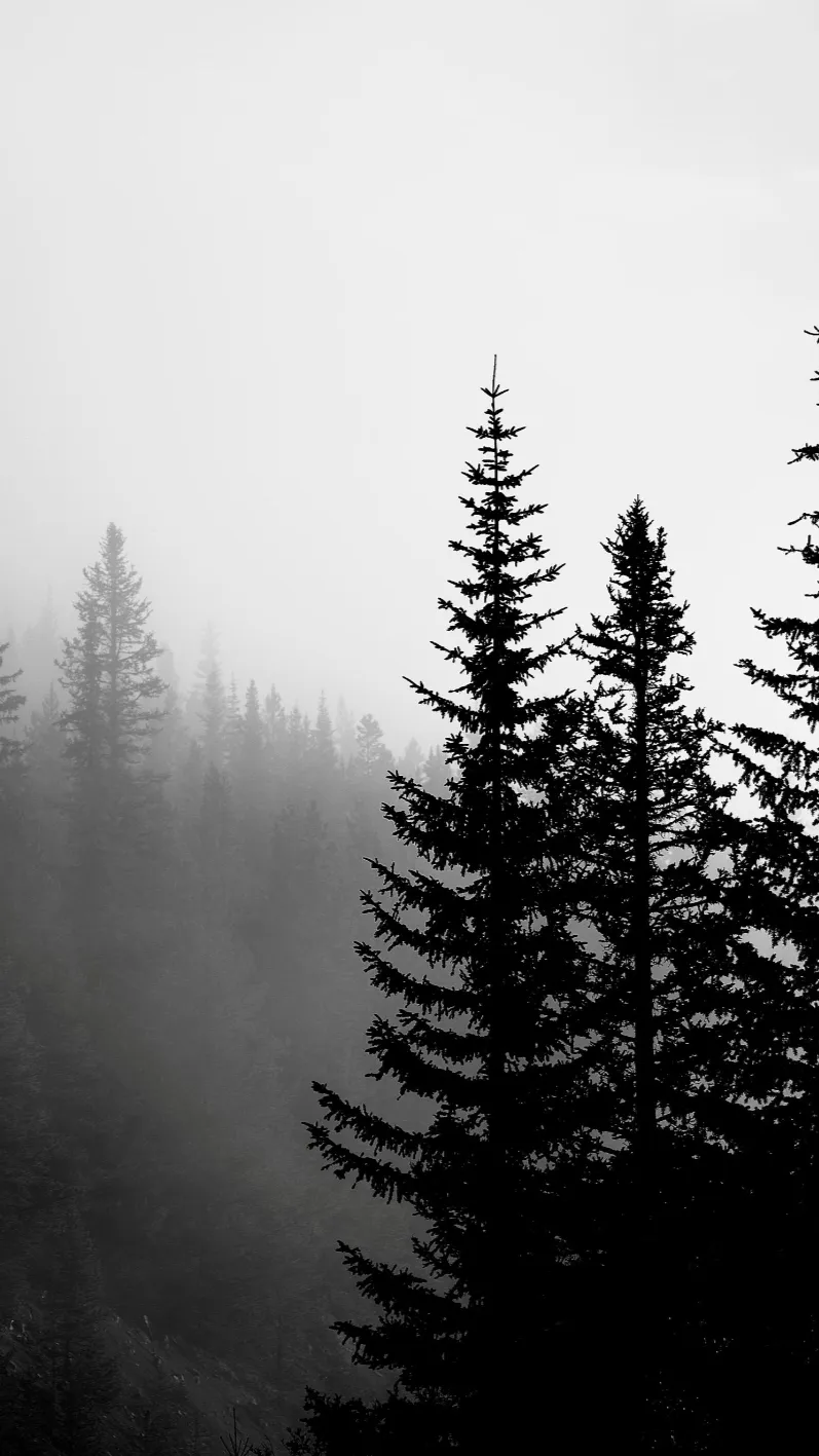 ai character: Mha x forest background