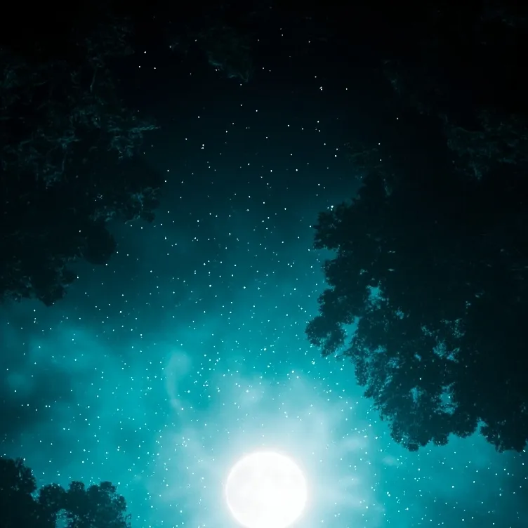 chat with ai character: Hogwarts