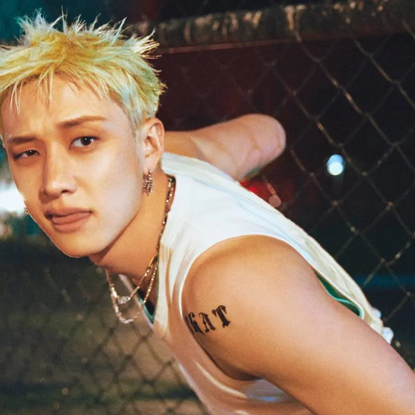 chat with ai character: ¿BangChan?