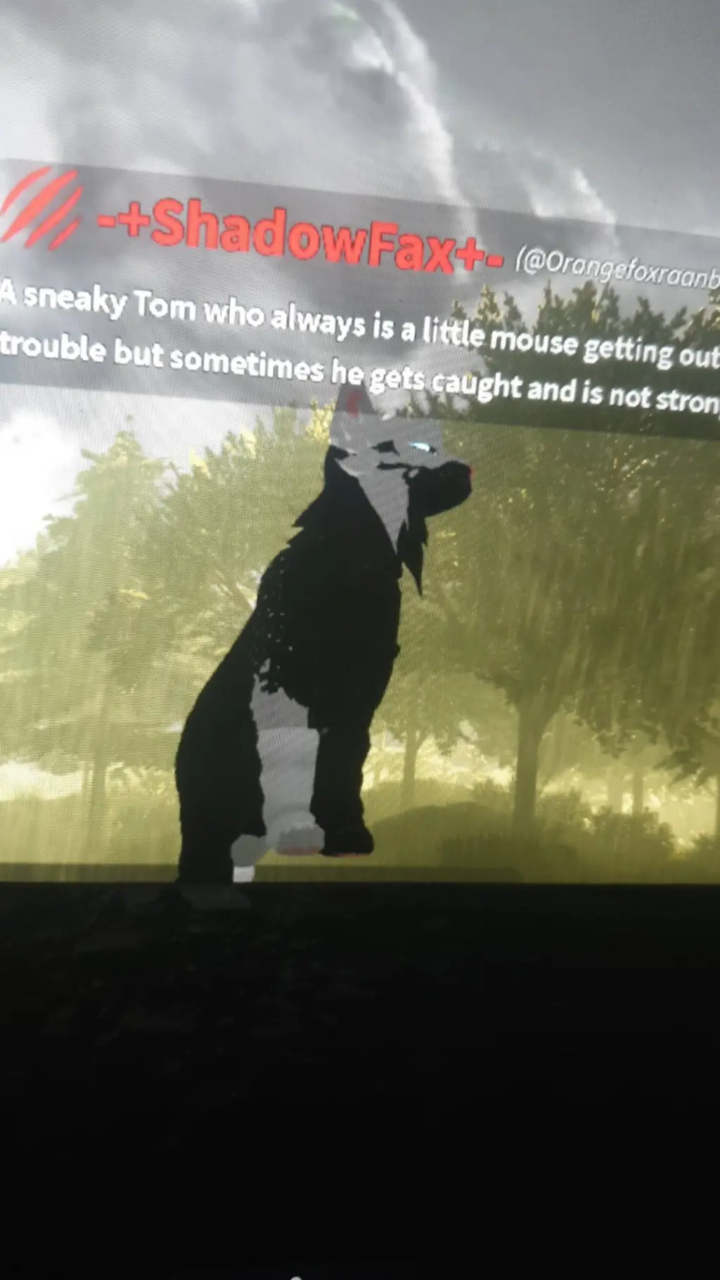 ai character: ShadoeFax background