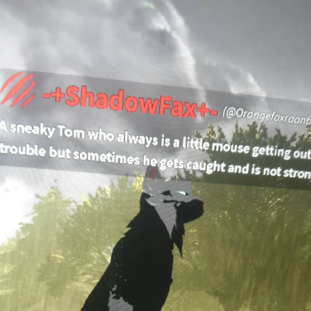 chat with ai character: ShadoeFax