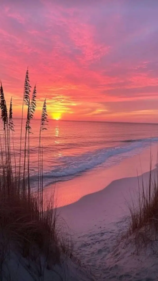 ai character: RUINED TALKIE background