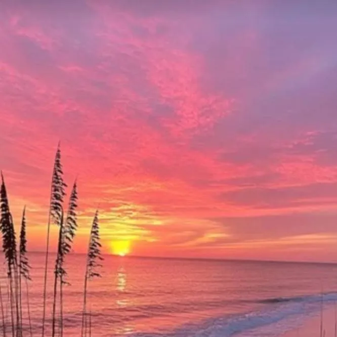 chat with ai character: RUINED TALKIE