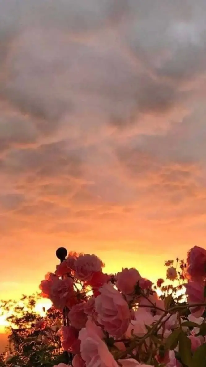 ai character: life switch  background