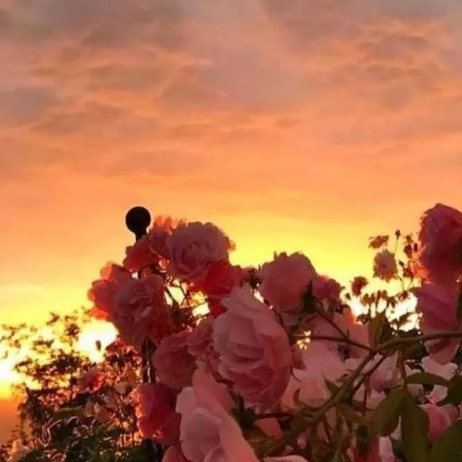 chat with ai character: life switch 