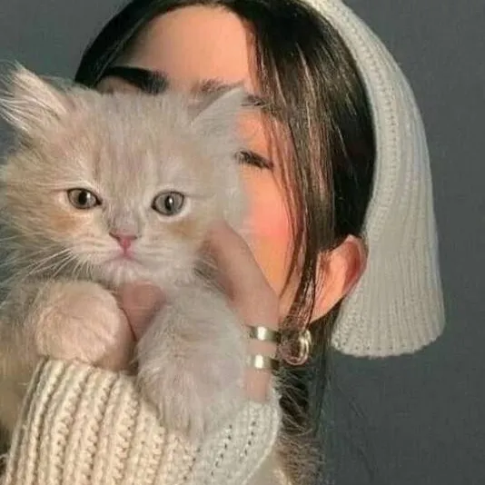 chat with ai character: ur cat turns human